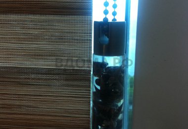 IMG_3944